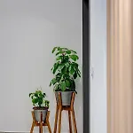 公寓 Syrose 埃尔莫波利斯